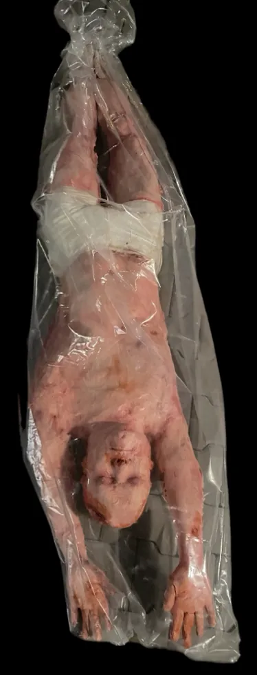 Realistic horror prop body or severed head by Scare Designz