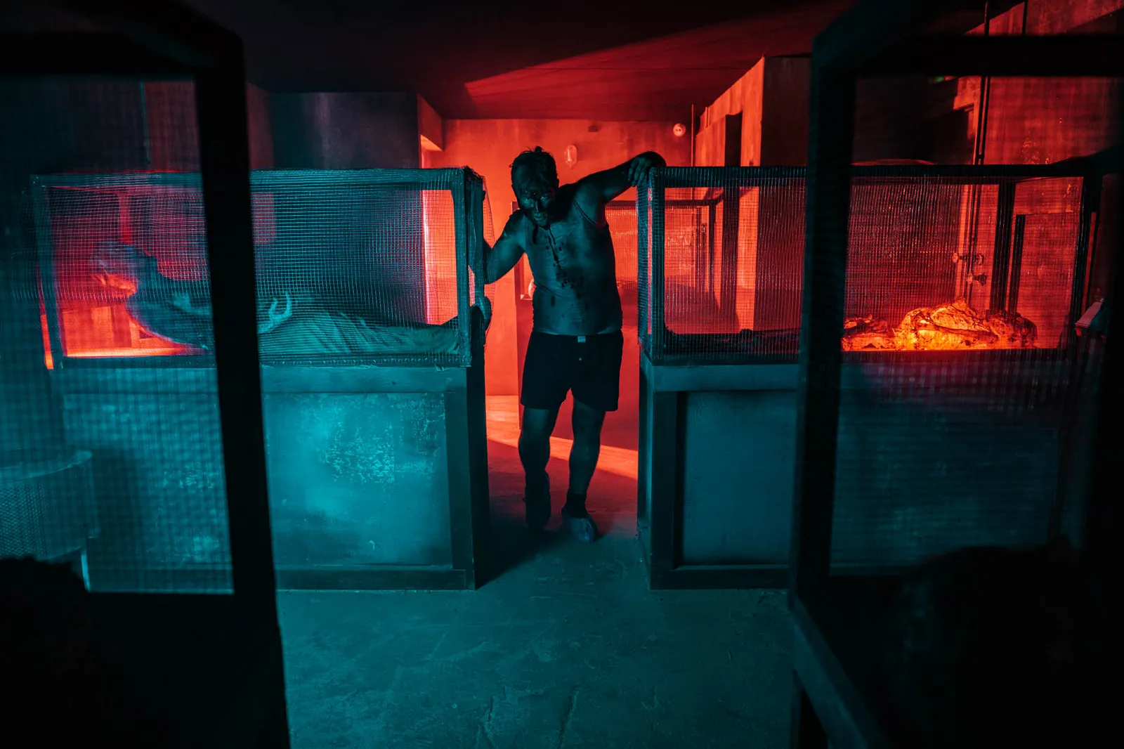 Funerarium, Bellewaerde by Scare Designz (photo 5)