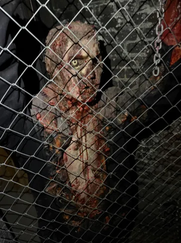 Rotter Room, Europa-Park Traumatica by Scare Designz (photo 2)