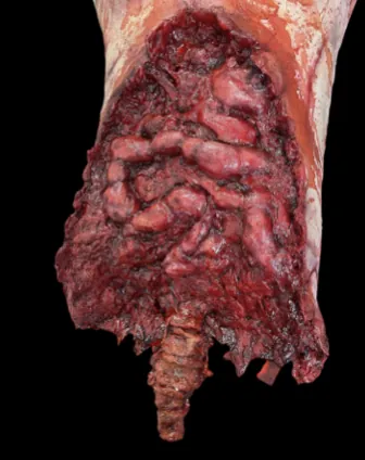 Realistic horror prop body or severed head by Scare Designz