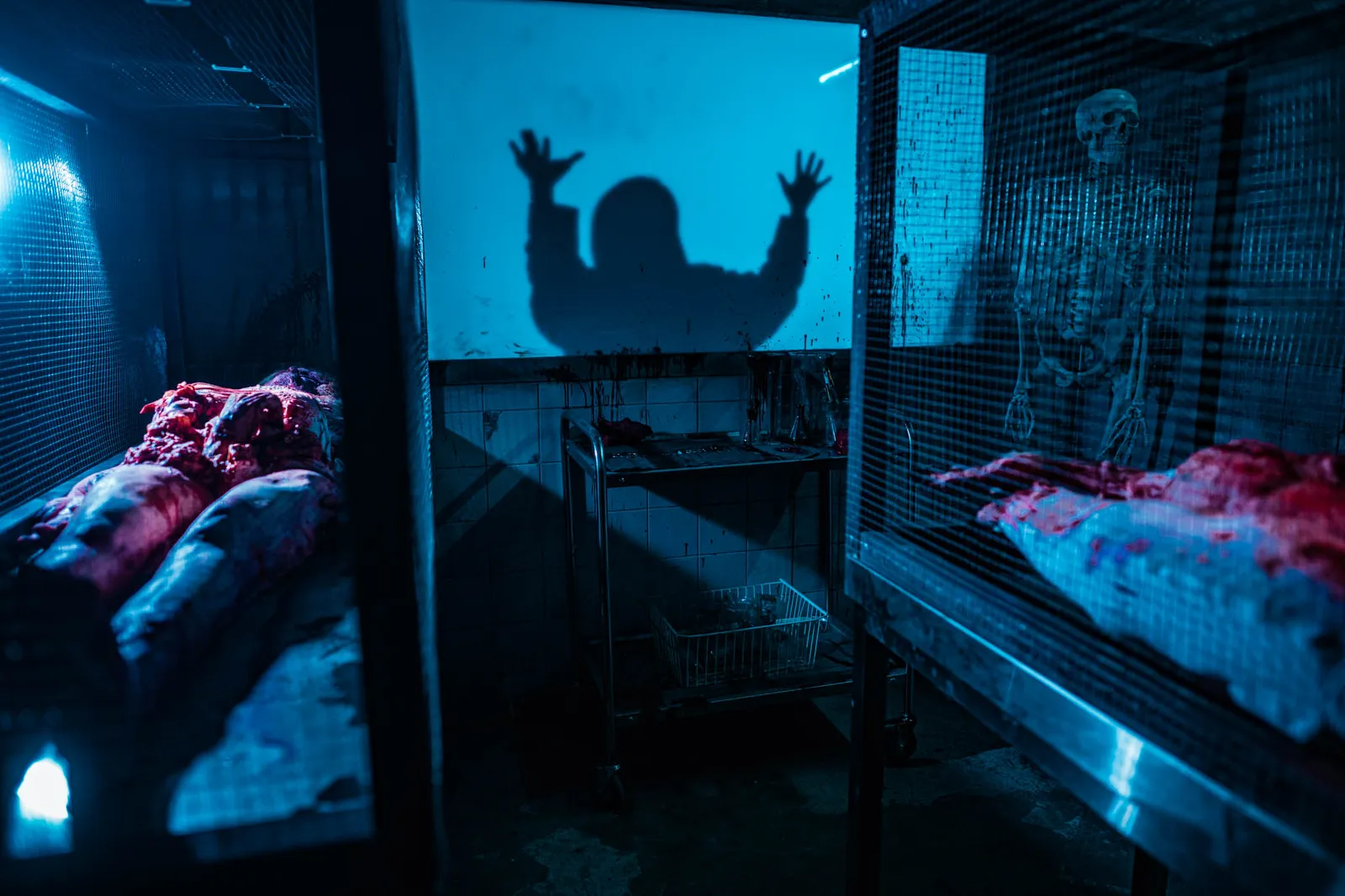 Funerarium, Bellewaerde by Scare Designz (photo 2)