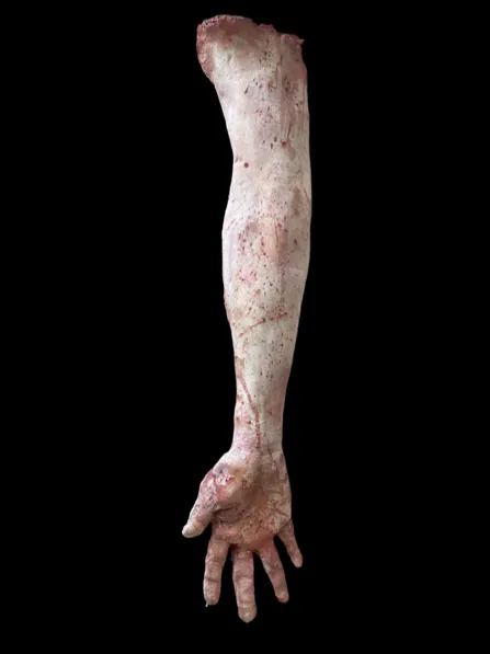 Realistic horror prop body or severed head by Scare Designz