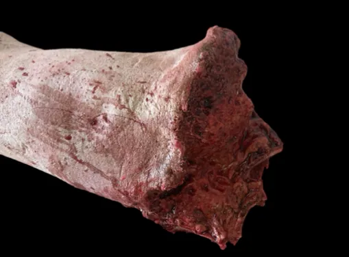 Realistic horror prop body or severed head by Scare Designz