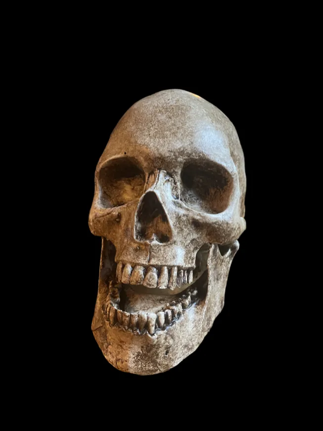 Realistic horror prop body or severed head by Scare Designz
