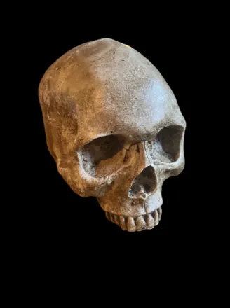 Realistic horror prop body or severed head by Scare Designz