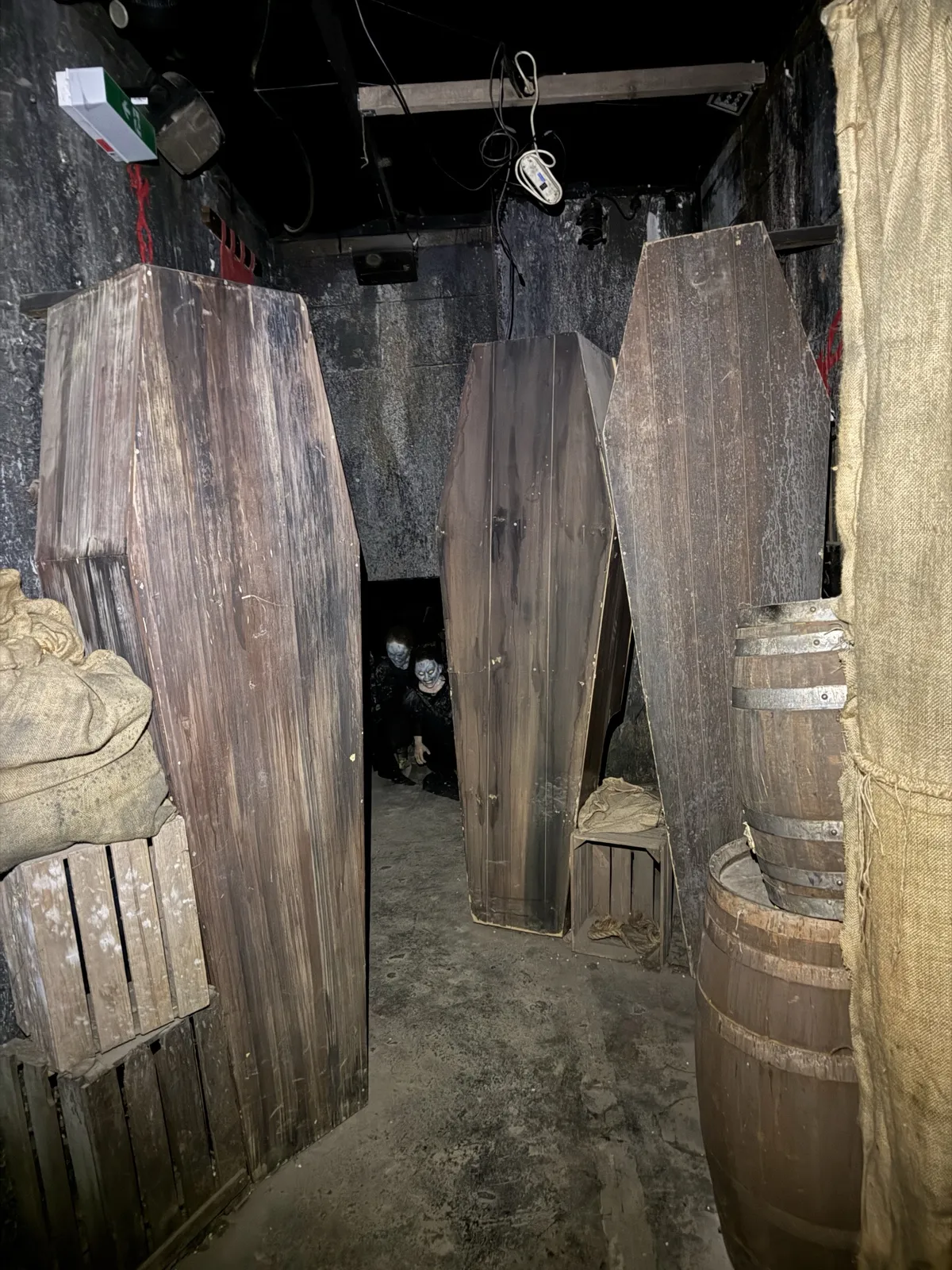 Cinema Macabre, Europa-Park Traumatica by Scare Designz (photo 6)