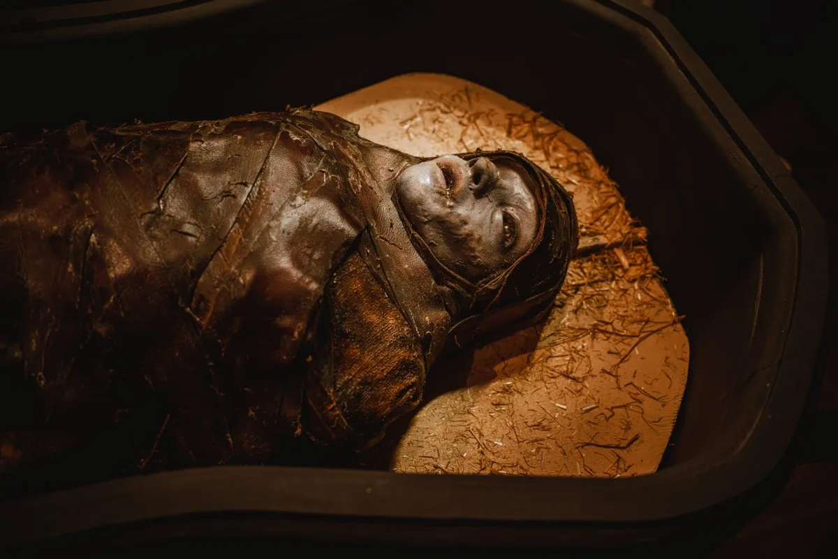 Lee Cronin's The Mummy Promotion, Production Pirates by Scare Designz