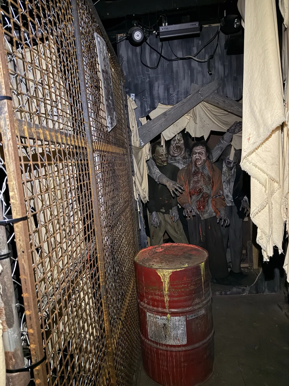 Rotter Room, Europa-Park Traumatica by Scare Designz (photo 5)
