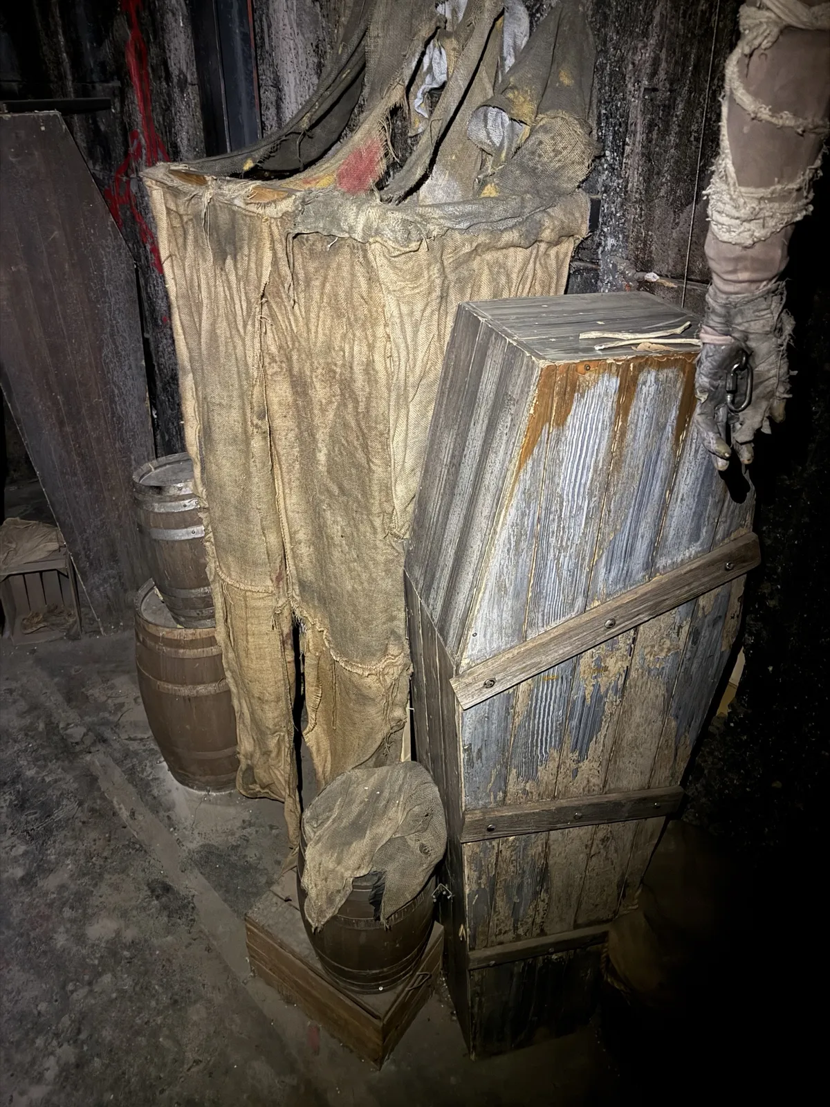 Rotter Room, Europa-Park Traumatica by Scare Designz (photo 4)