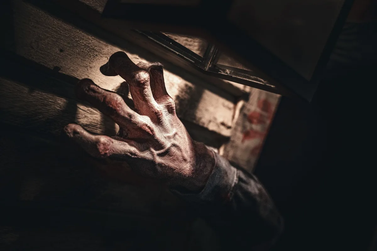 Resident Evil Promotion, Production Pirates by Scare Designz (photo 4)